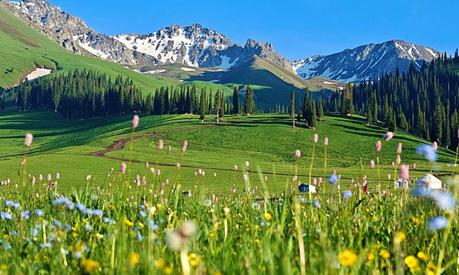 5 月新疆跟团游好还是自由行好？真实对比