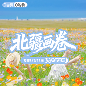 尽情北疆-户外-北疆画卷-12日