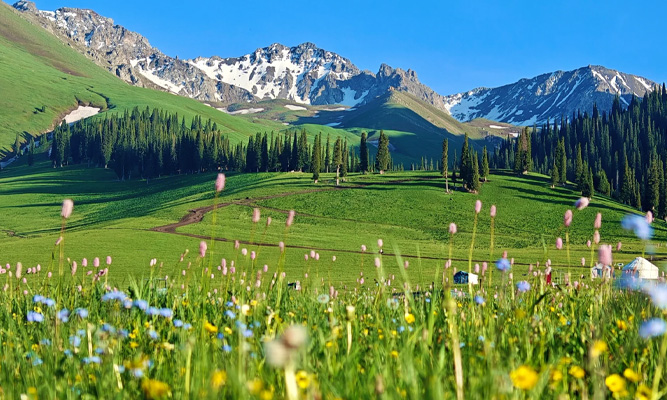 5 月新疆私家团体验，独立成团更舒适吗
