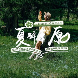 小拼车-夏醉草原-头等舱