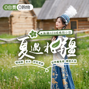 小拼车-夏遇北疆-头等舱
