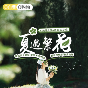 小拼车-夏遇繁花-商务舱