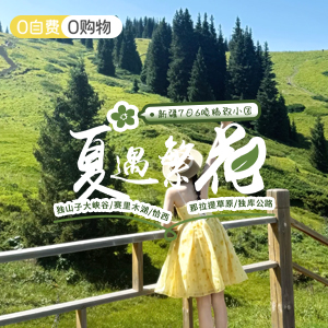 小拼车-夏遇繁花-头等舱