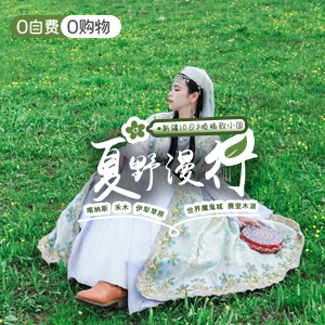 小拼车-夏野漫行-头等舱