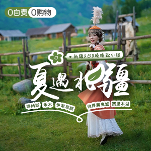 小拼车-夏遇北疆-商务舱