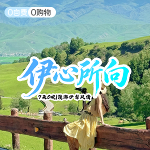 西域风光-伊心所向7日游-商务舱