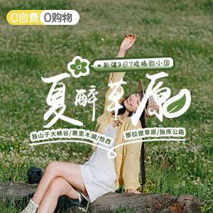 尽情北疆-小拼车-夏醉草原8日游-商务舱