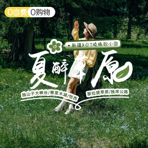 尽情北疆-小拼车-夏醉草原8日游-头等舱