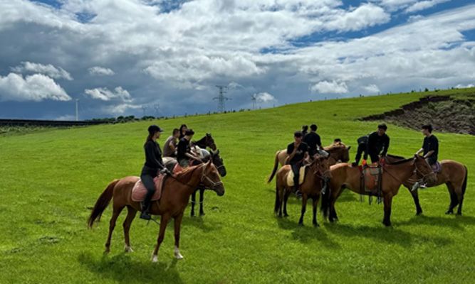 6月新疆草原骑马：安全须知与不同草原的体验差异