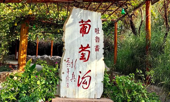 吐鲁番葡萄沟值得去吗？门票多少钱，几月葡萄最甜