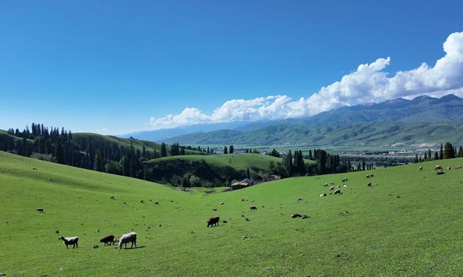 新疆旅游10天左右线路怎么排？北疆+伊犁全覆盖不走回头路环线