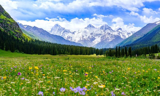 新疆旅游北疆环线全程多少公里?每天开车多久